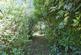 Additional image 31 of London Road, Dunchurch, Rugby