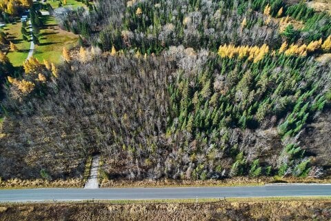 Additional image 7 of 1180 Old North Road, Huntsville, ON, P1H 2J2