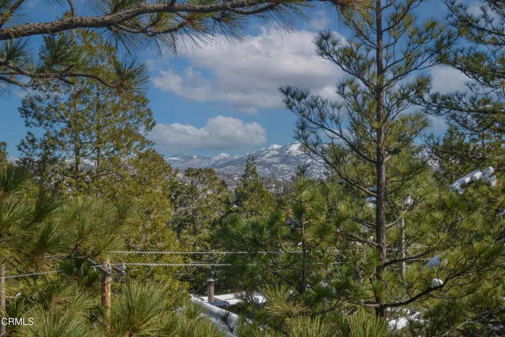 Additional image 47 of 864 Nadelhorn Drive, Lake Arrowhead, CA 92352