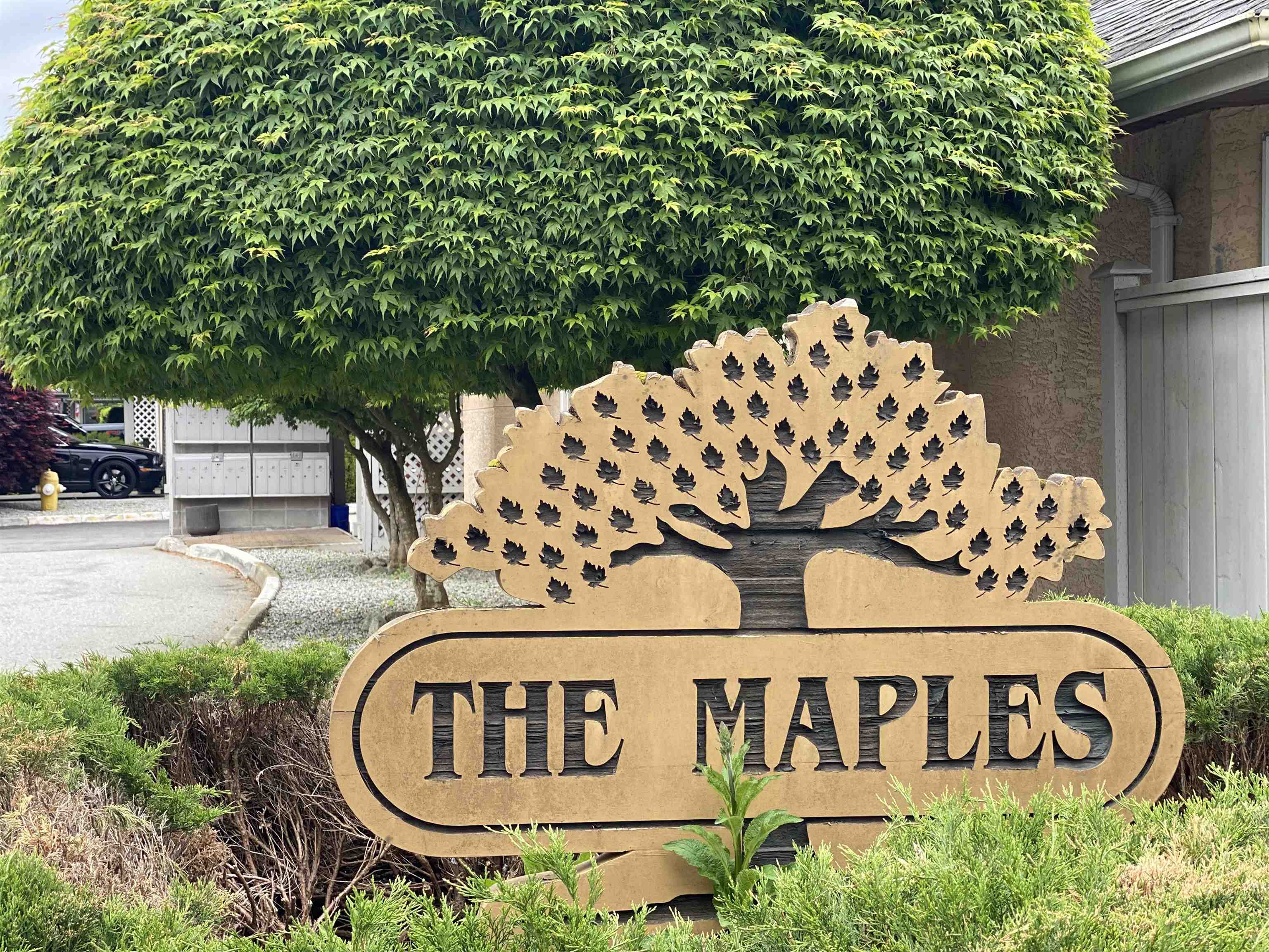 14-11950 Laity Street, Maple Ridge, BC, V2X 5A6