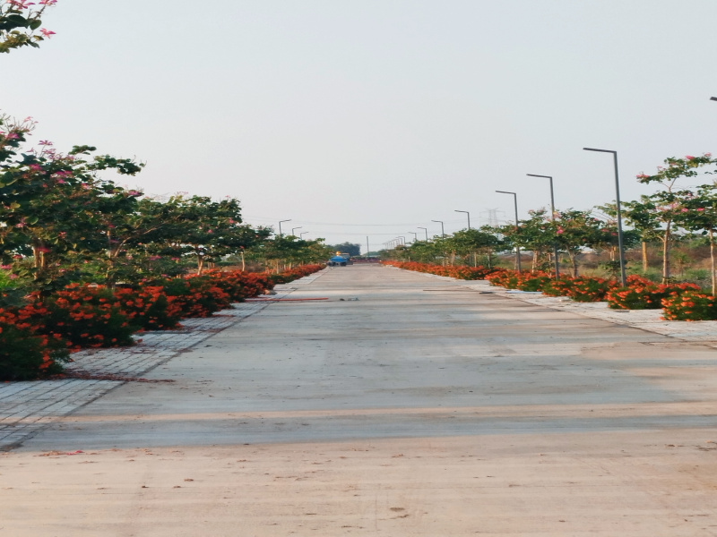 By Pass Road, Indore
