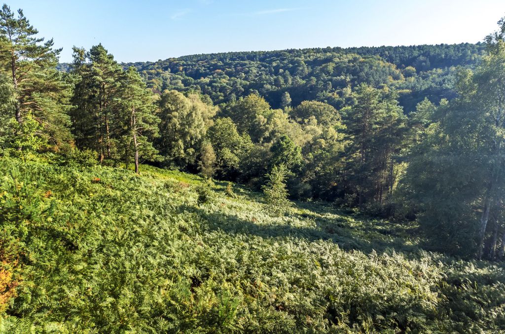 Additional image 24 of Land for saleHindhead, Surrey GU26