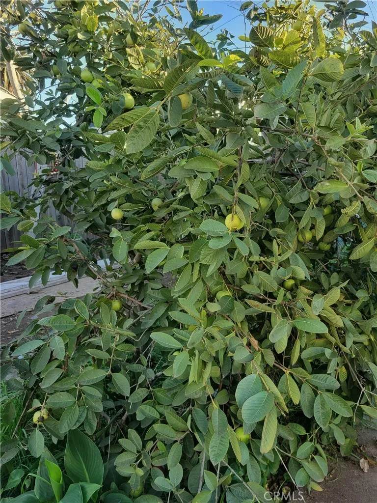 Additional image 58 of 1934 Vineyard Avenue, Los Angeles, CA 90016
