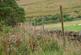 Additional image 34 of Allershaw House, Elvanfoot, Biggar, ML12 6TJ