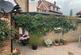 Additional image 16 of Henley Road, Shillingford, Wallingford, Oxfordshire, OX10