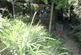Additional image 27 of Mount Ambrose, Redruth TR15