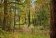 Additional image 28 of The Michaelchurch Estate, Michaelchurch Escley, Hereford, Herefordshire