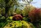 Additional image 23 of Rhulen, Builth Wells, LD2