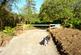 Additional image 8 of Adhamh Wood (just under 4 and a quarter acres), Benderloch, Oban, Argyle & Bute PA37