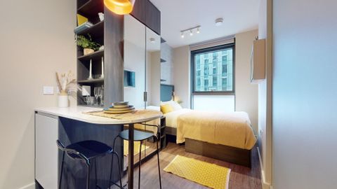 Crossharbour Plaza, London E14, Studio to rent