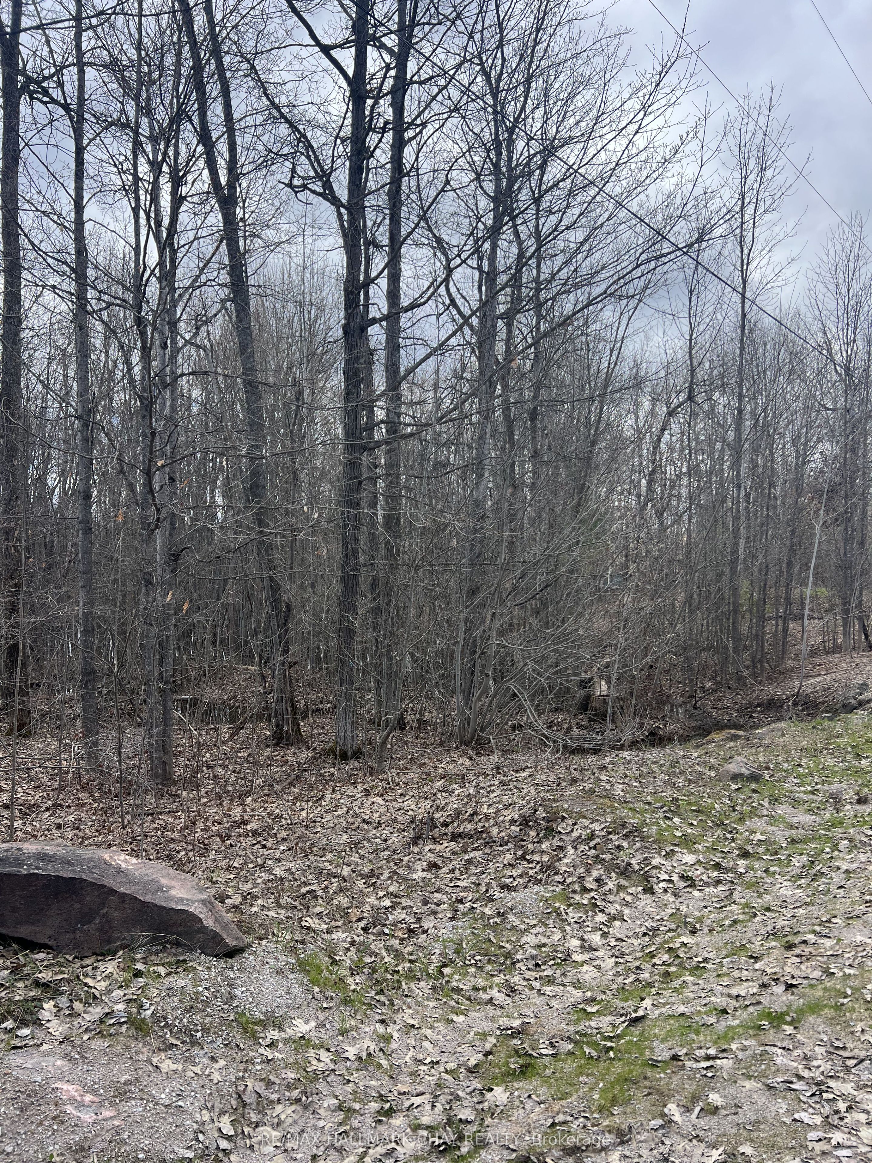 Additional image 2 of 3159 Switch Road, Ramara, ON, L0K 2B0