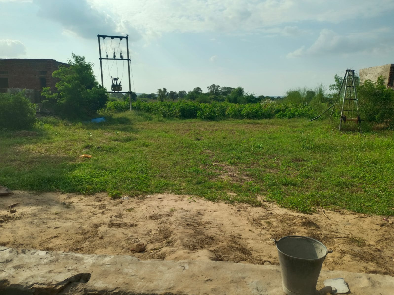 Naugaon, Alwar photo 3