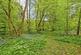 Additional image 16 of Ghyllside Road, Northiam, Rye, East Sussex