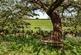 Additional image 12 of Thorverton, Exeter