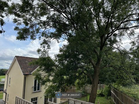 Bell Hill, Bristol BS16, Room to rent