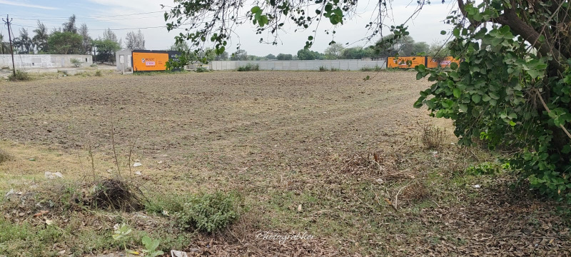 Dumad, Vadodara photo 3
