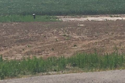 Additional image 7 of 3151 County Rd 2 N/a, Otonabee-south Monaghan, ON, K0L 2G0