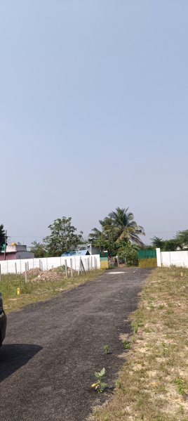 Sevvapet, Chennai photo 2