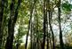 Additional image 4 of Mungo Wood, Benderloch, Oban, Argyle & Bute PA37