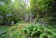 Additional image 49 of Mostyn Cottage, Ganllwyd, Dolgellau LL40 2HS