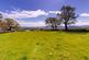 Additional image 28 of Dryslwyn, Carmarthen SA32