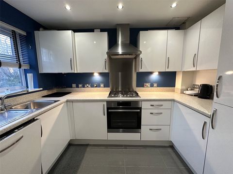 Downy Birch, Coventry, West Midlands CV4