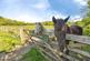 Additional image 18 of Race Course View, Lyndhurst, Hampshire, SO43