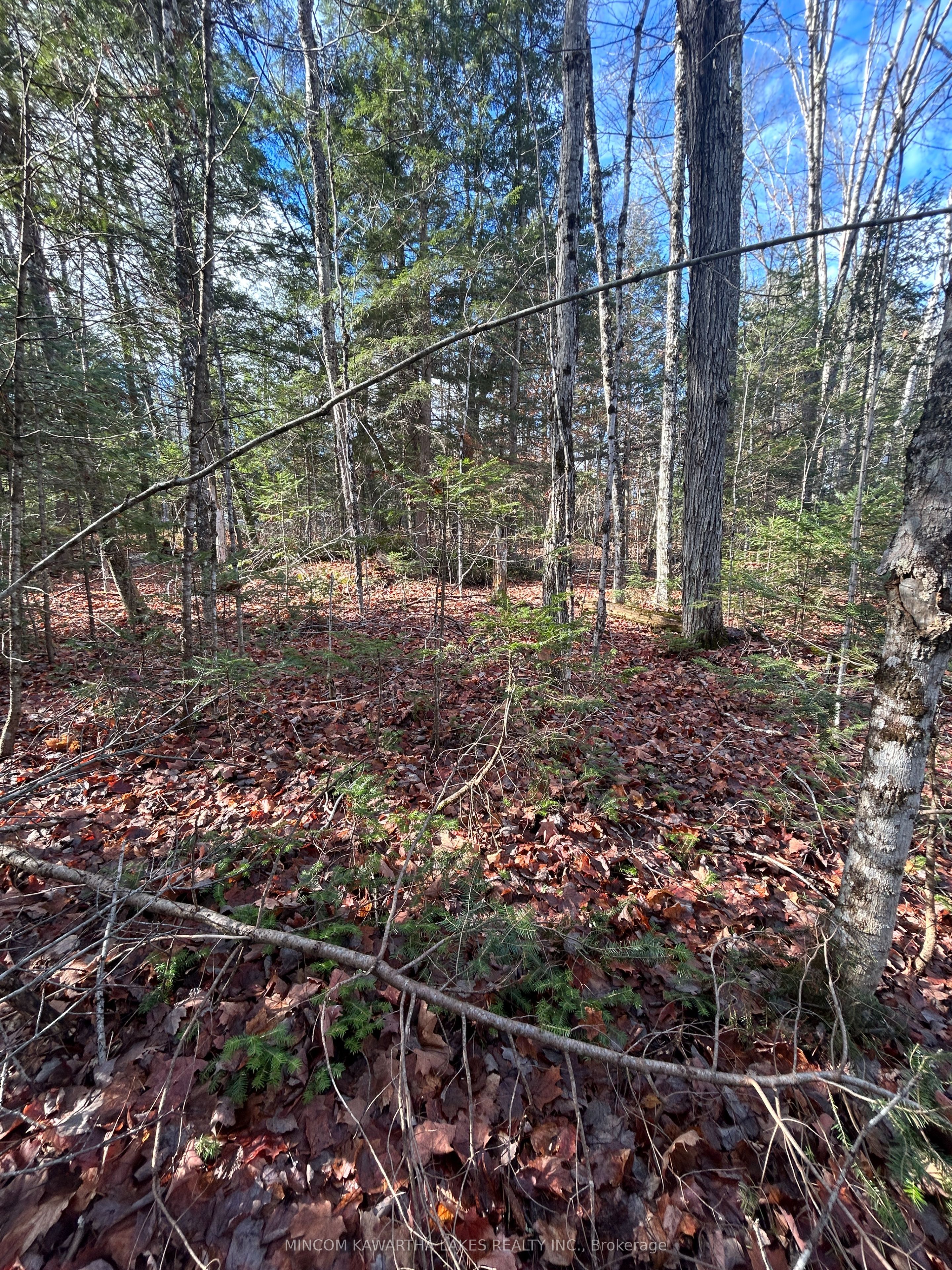 0 Mill Lake Road, North Kawartha, ON, K0L 1A0