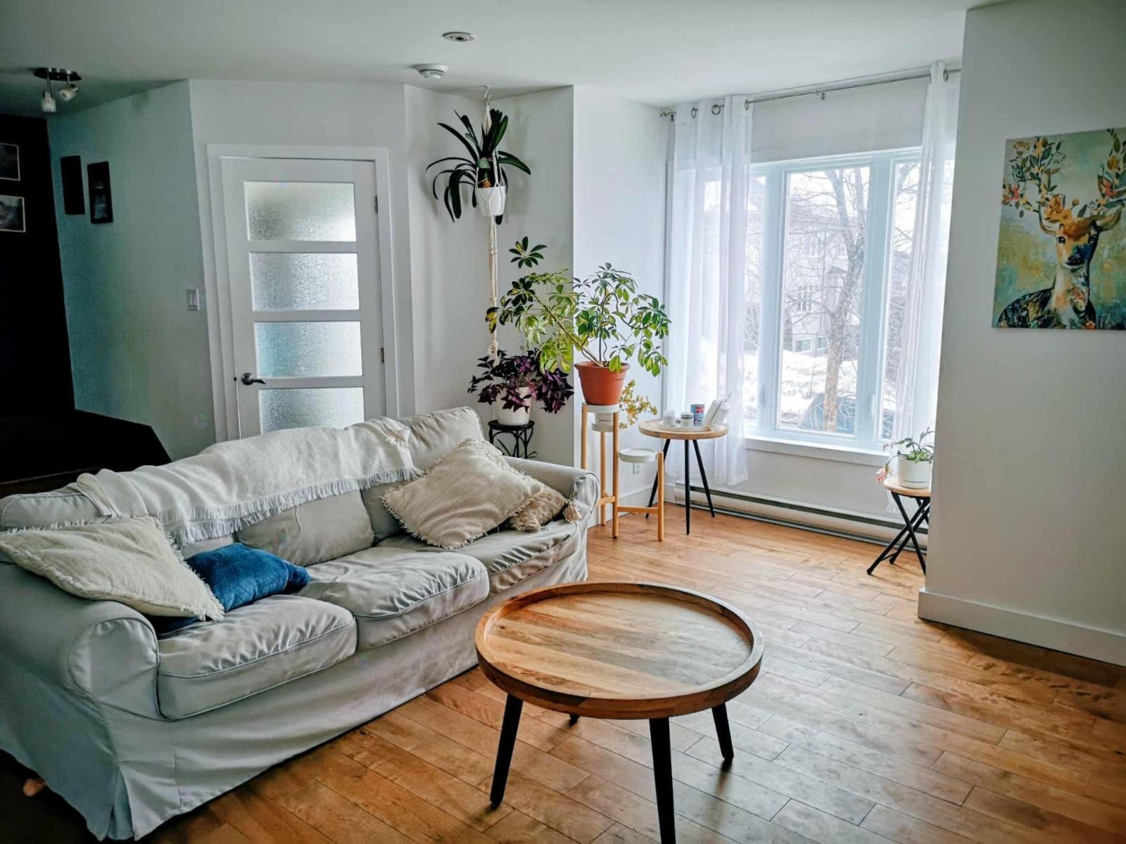 444 Rue St-Alphonse S.