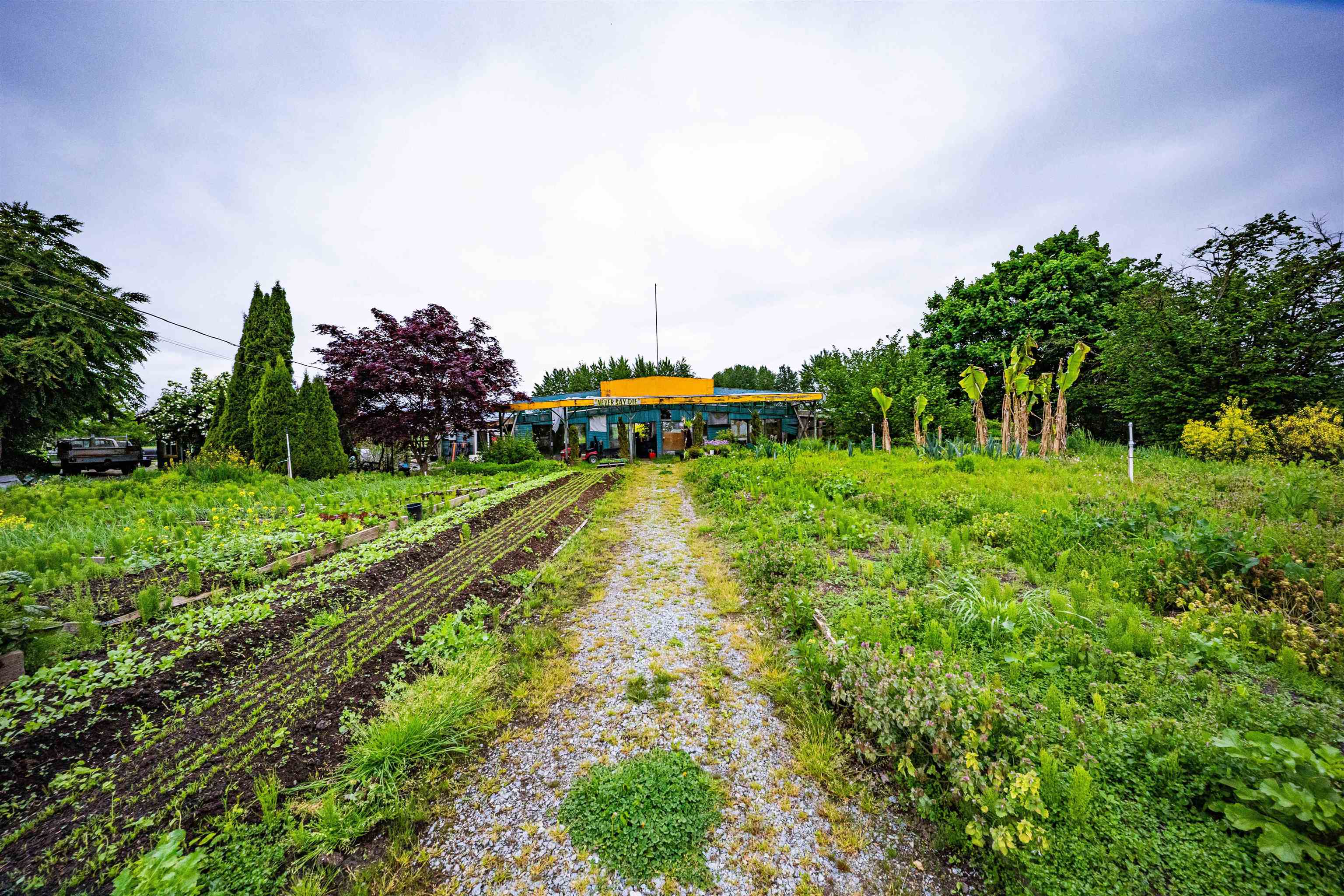 Additional image 2 of 19449 Old Dewdney Trunk Road, Pitt Meadows, BC, V3Y 2S1
