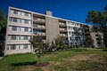 Additional image 24 of 1818 Metzerott Rd, Adelphi, MD, 20783