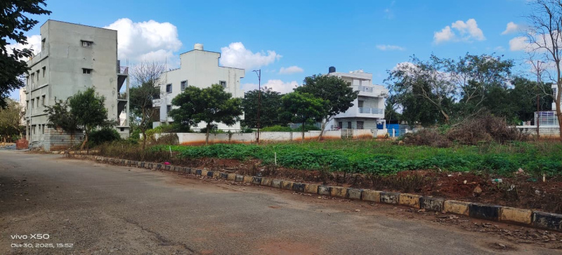 Anekal, Bangalore photo 2
