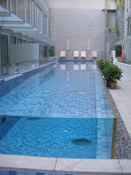 86 Wilkie Road photo 5