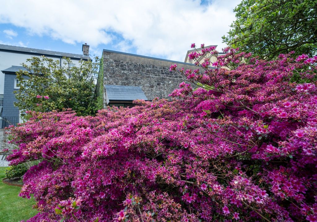 Additional image 61 of 7 bed detached house for saleLlywnon, 61 St James Street, Narberth SA67