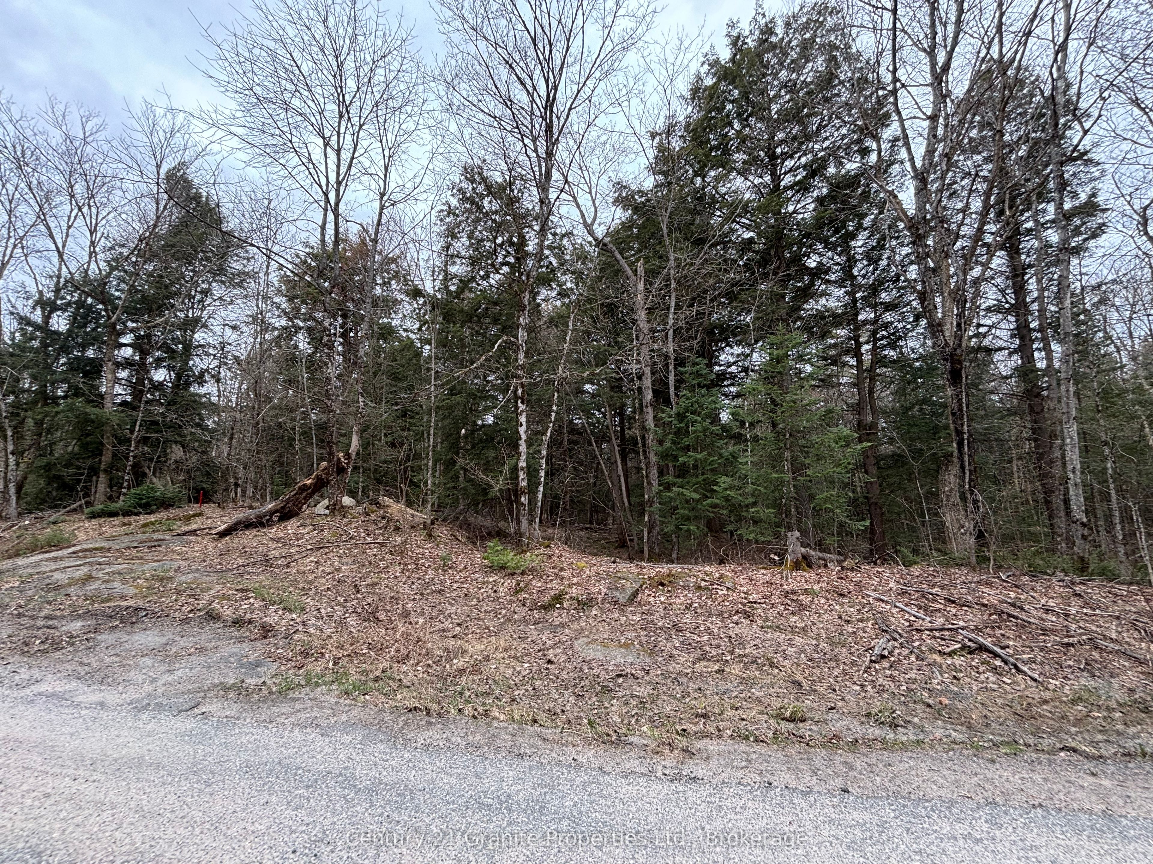 Additional image 5 of Lot 1 Loch Erne Road, Mcdougall, ON, P2A 2W7
