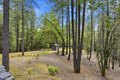 Additional image 41 of 449 Plutes Way, Colfax, CA, 95713