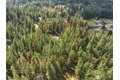 Additional image 40 of 29816 SE Lake Retreat North Dr, Ravensdale, WA, 98051