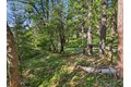 Additional image 16 of 13466 Yuba Close, Nevada City, CA, 95959