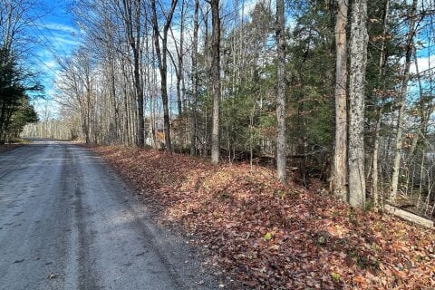 Additional image 7 of 00 Mill Lake Road, North Kawartha, ON, K0L 1A0