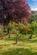 Additional image 17 of Long Hanborough, Oxfordshire, OX29