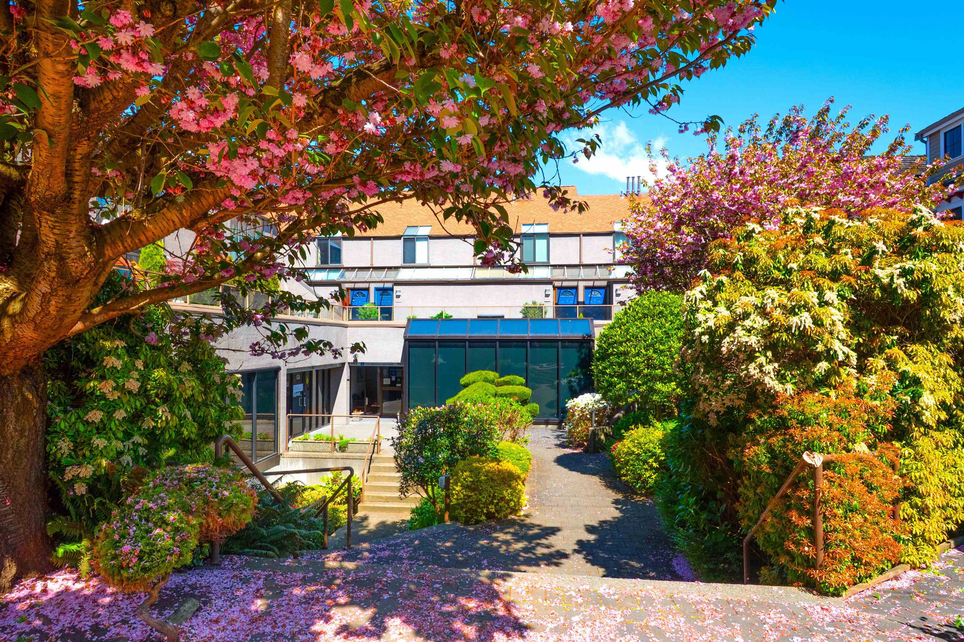 Additional image 2 of 1167 8th Avenue W, Vancouver, BC, V6H 1C5