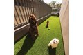 Additional image 5 of 839 S Fedora St, Los Angeles, CA, 90005