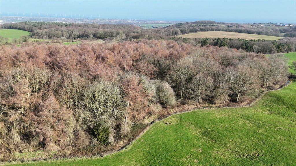 Additional image 6 of Land for saleWilton Woods, Wilton Lane, Guisborough, North Yorkshire TS14