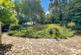 Additional image 23 of Mountfield, Robertsbridge