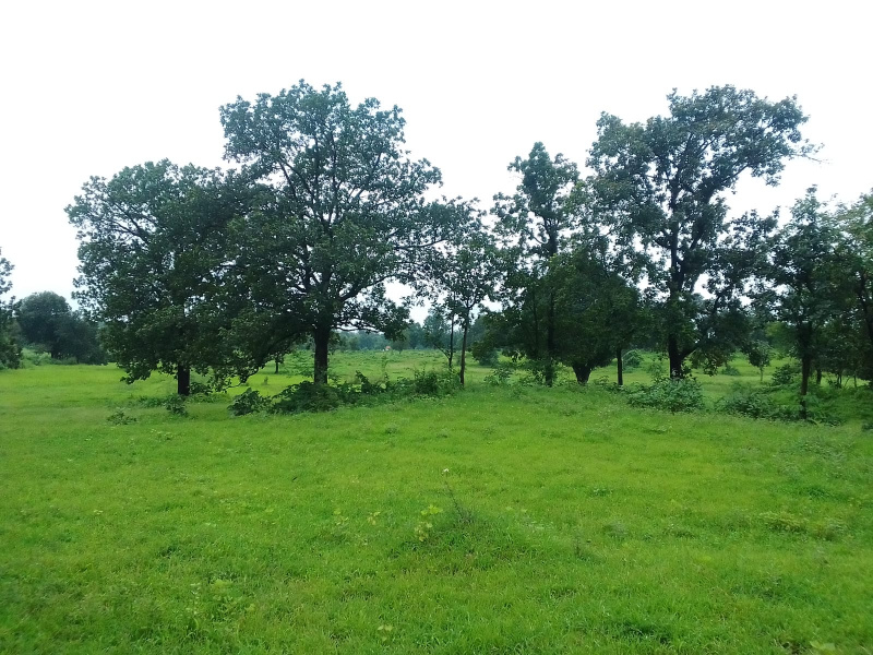 Murbad, Thane