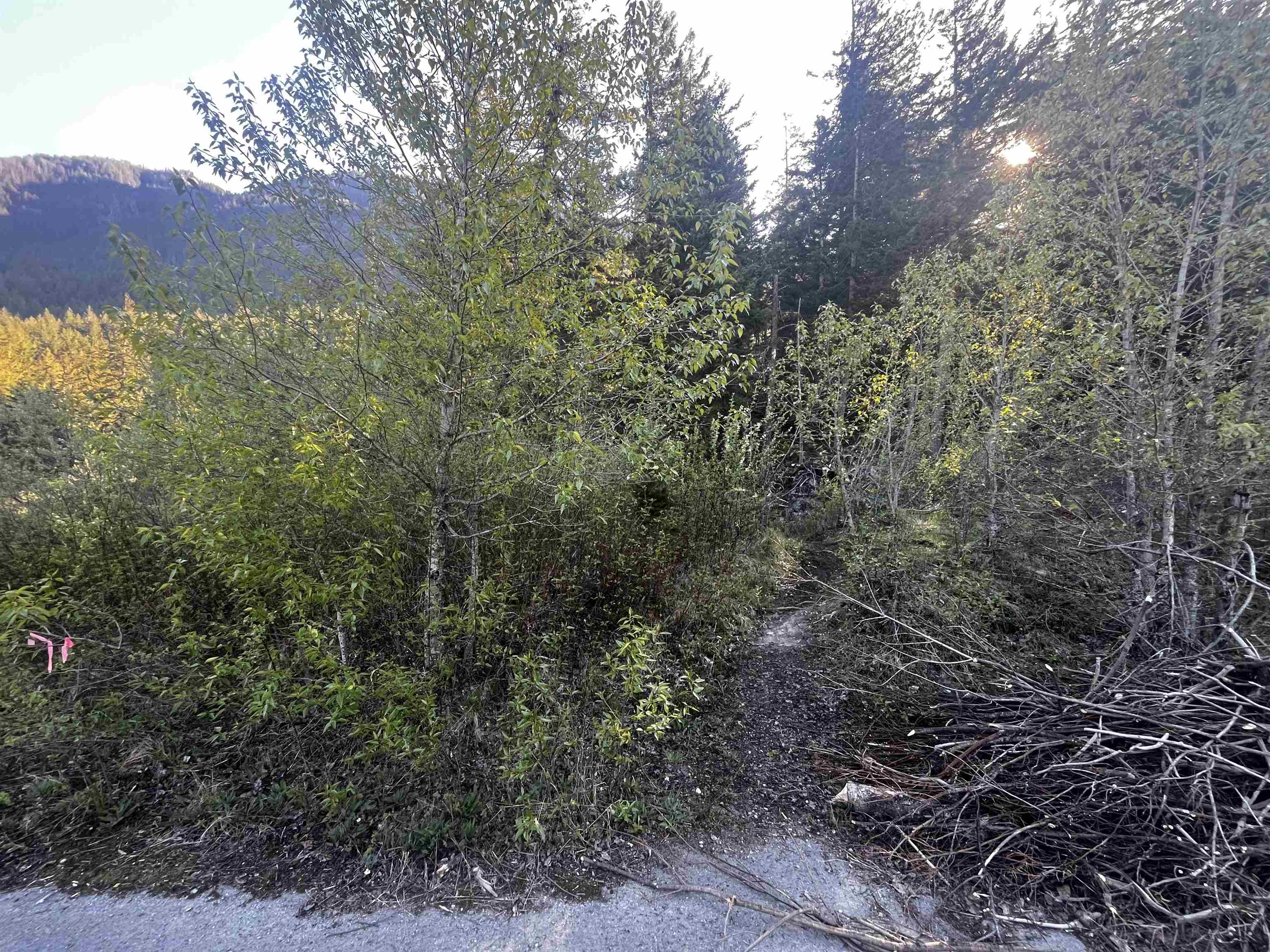 Additional image 4 of RLL1 Strawberry Lane, Hope, BC, V0X 1L5