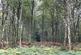 Additional image 10 of Chiffchaff Wood (6 and a half acres), Whitney-on-Wye, Hay-on-Wye, Herefordshire HR3