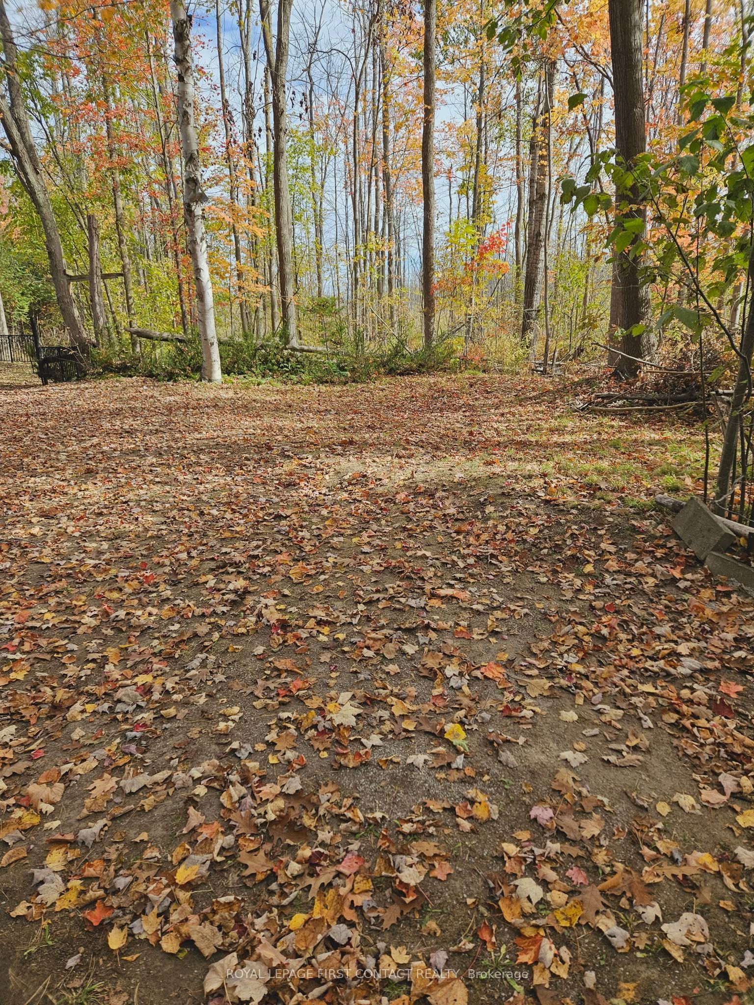 Additional image 3 of 3040 Grass Lake Line, Severn, ON, L0K 2B0