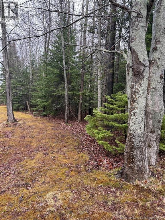 LOT 98-2 Dundas Road