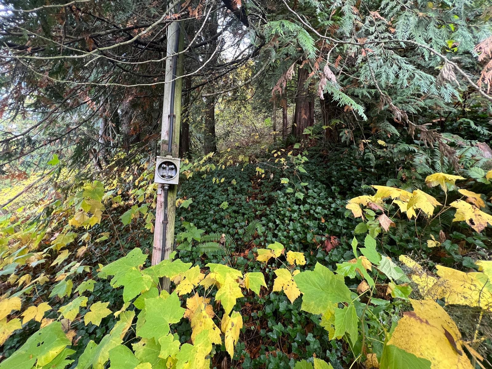 Additional image 4 of 45992 Gurney Road, Cultus Lake, BC, V2R 5A8